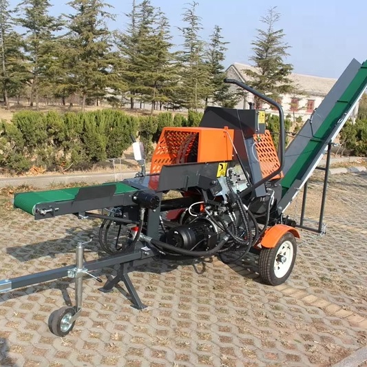 Log Splitter Electric - Fendeuse de bûches horizontale hydraulique de